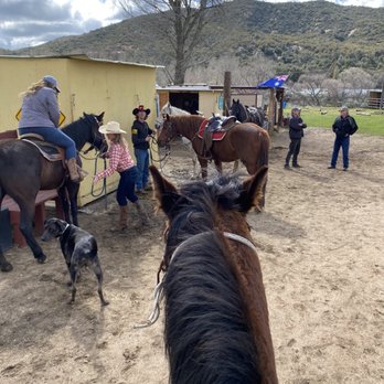 San Diego Horse Connection - Horseback Riding Near Me