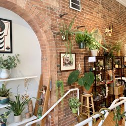 Buckley House of Flowers