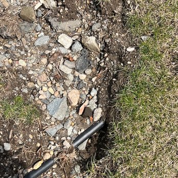 Live Earth New England - Landscaping Near Me