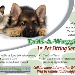 Tails-a-Waggin 4U - Pet Sitter - Dog Walker - Buffalo Grove, IL Area
