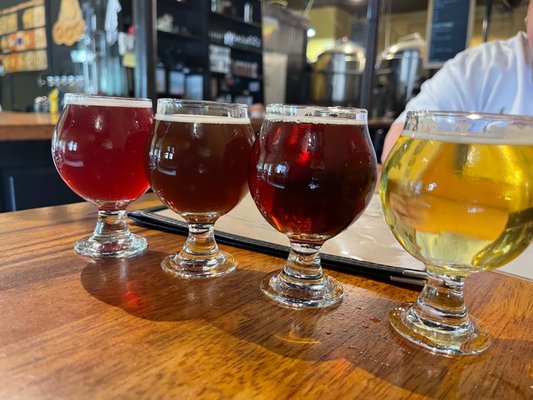 Mountain Toad Brewing by null