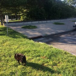Clifton Park Rest Area