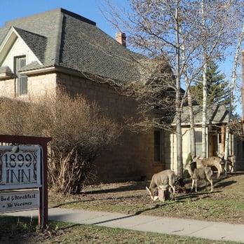 The 1899 B&B Inn - Deer roam the Town the locals call them "the long neck dogs" They are everywhere. - Bed & Breakfast Near Me - La Veta, Colorado The 1899 B&B Inn - Deer roam the Town the locals call them "the long neck dogs" They are everywhere. - Bed & Breakfast Near Me - La Veta, Colorado