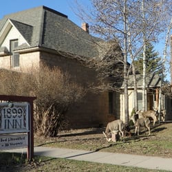 The 1899 B&B Inn - Deer roam the Town the locals call them "the long neck dogs" They are everywhere.