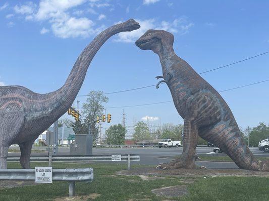 Dinosaur Land by null