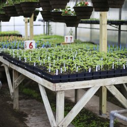 Webers Greenhouse