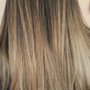 Carlos Salinas Salon