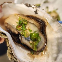 Santa Rosa Seafood