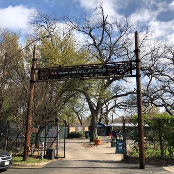 Dallas Zoo - Zoos Near Me - Dallas, Texas