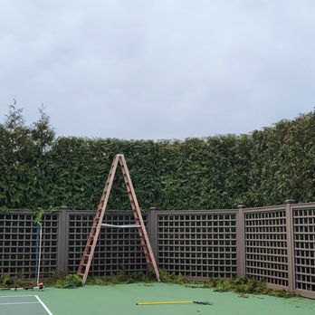 Quick Solution Property Care - Hedge trimming - Landscaping Near Me