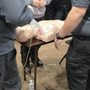 Photo of Burton CPR Firstaid Training