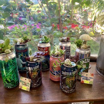 Encinal Nursery - Cute succulent cans - Nurseries & Gardening Near Me - Alameda, California