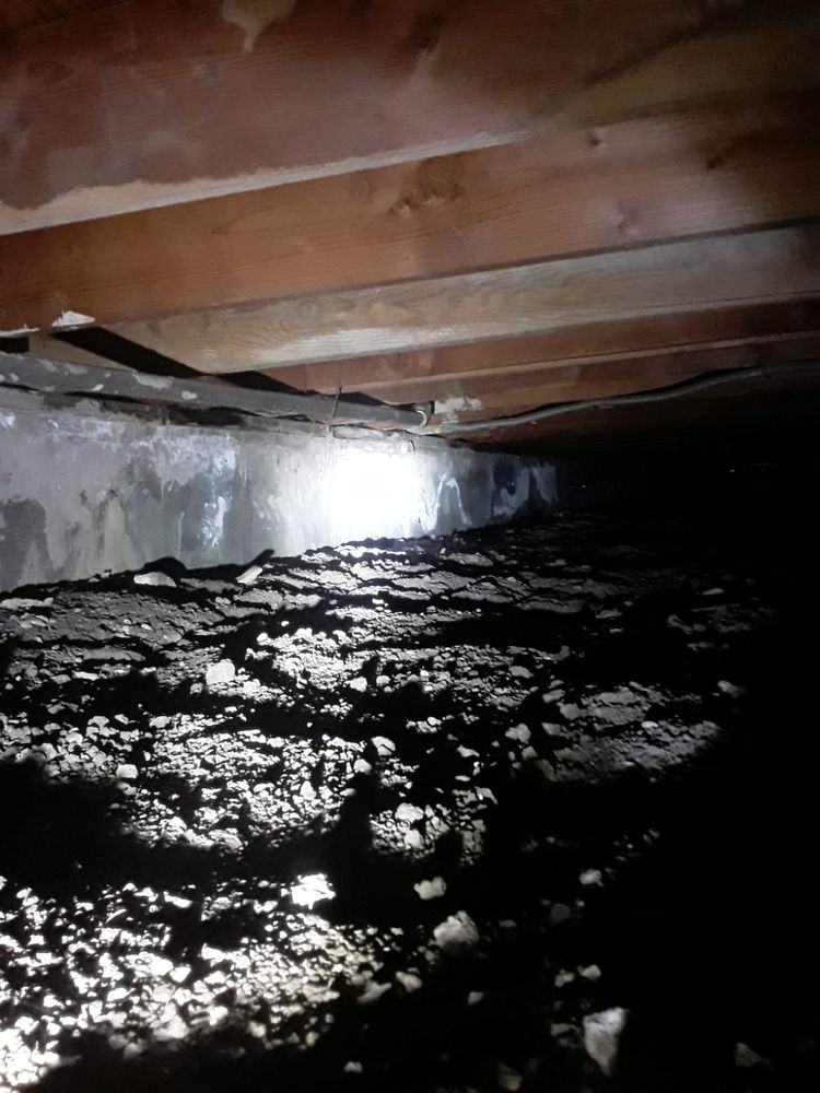 Slide of RLM Cali Builders