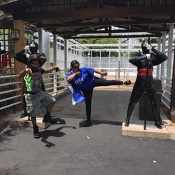 The Ninja