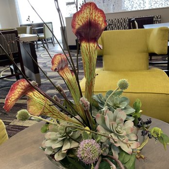 La Quinta by Wyndham Orem University Parkway - Hotels Near Me - Orem, Utah La Quinta by Wyndham Orem University Parkway - Hotels Near Me - Orem, Utah