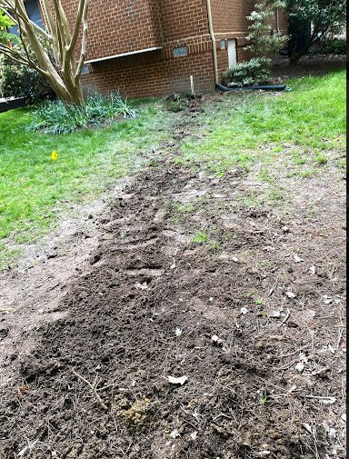 Slide of Jerry's Drain Cleaning