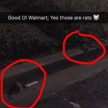 Walmart Supercenter - Rats!!!! - Department Stores Near Me - Vancouver, Washington
