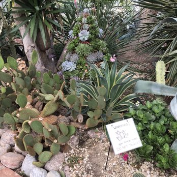 Centennial Park Conservatory - Parks Near Me - Toronto, Ontario