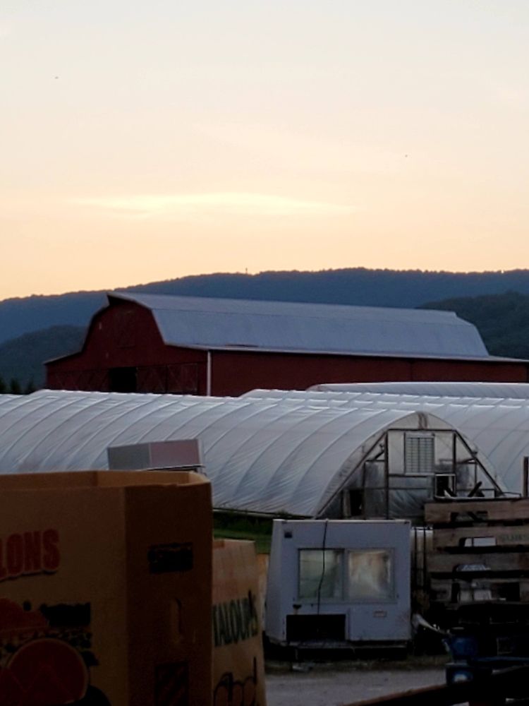 RED BARN PRODUCE Updated September 2024 2999 Hy 11W S, Rutledge