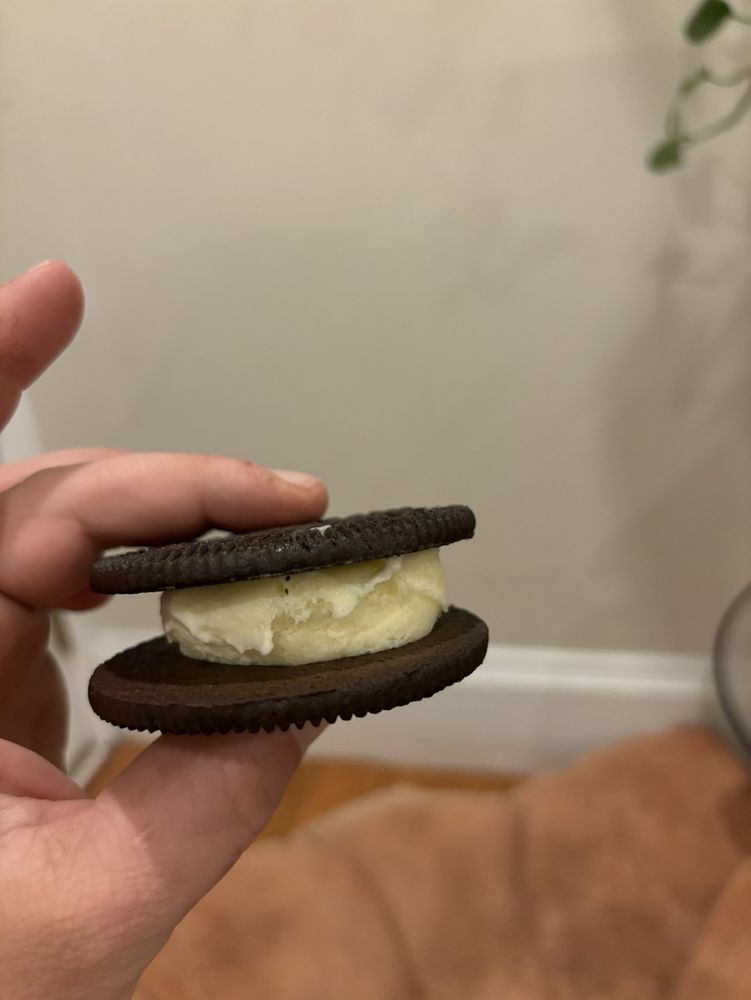 ABBOTT’S FROZEN CUSTARD ARLINGTON CENTER Updated October 2024 20 Photos & 38 Reviews 311