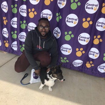 Central Bark York - Pet Stores Near Me - York, Pennsylvania