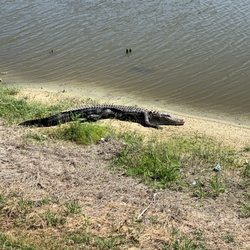 Eagle Lakes Golf Club