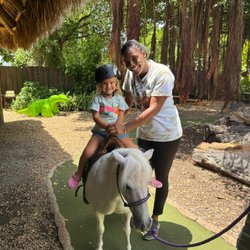 Green Explorers Academy - Summer Camp
