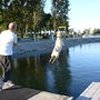 Photo of Crazy K9's