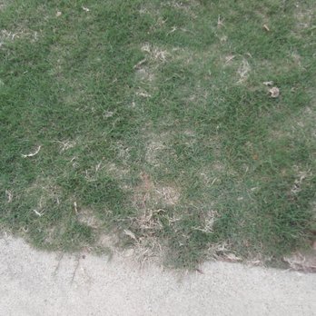 Jake's Lawn Care - The old adage, 'The customer is always right,' The rep on 5/19 left me with the impression that I was not correct about what I was sharing. - Lawn Services Near Me - Fort Worth, Texas Jake's Lawn Care - The old adage, 'The customer is always right,' The rep on 5/19 left me with the impression that I was not correct about what I was sharing. - Lawn Services Near Me - Fort Worth, Texas