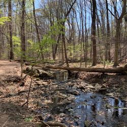 College Gardens Park