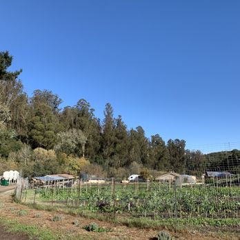 City of Lompoc - Dare 2 Dream farm - Local Flavor Near Me