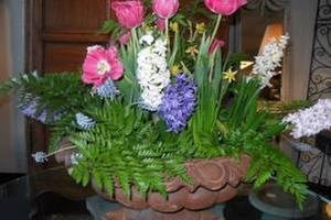 North Star Antiques & Interiors