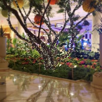 Wynn - Hotels Near Me - Las Vegas, Nevada Wynn - Hotels Near Me - Las Vegas, Nevada