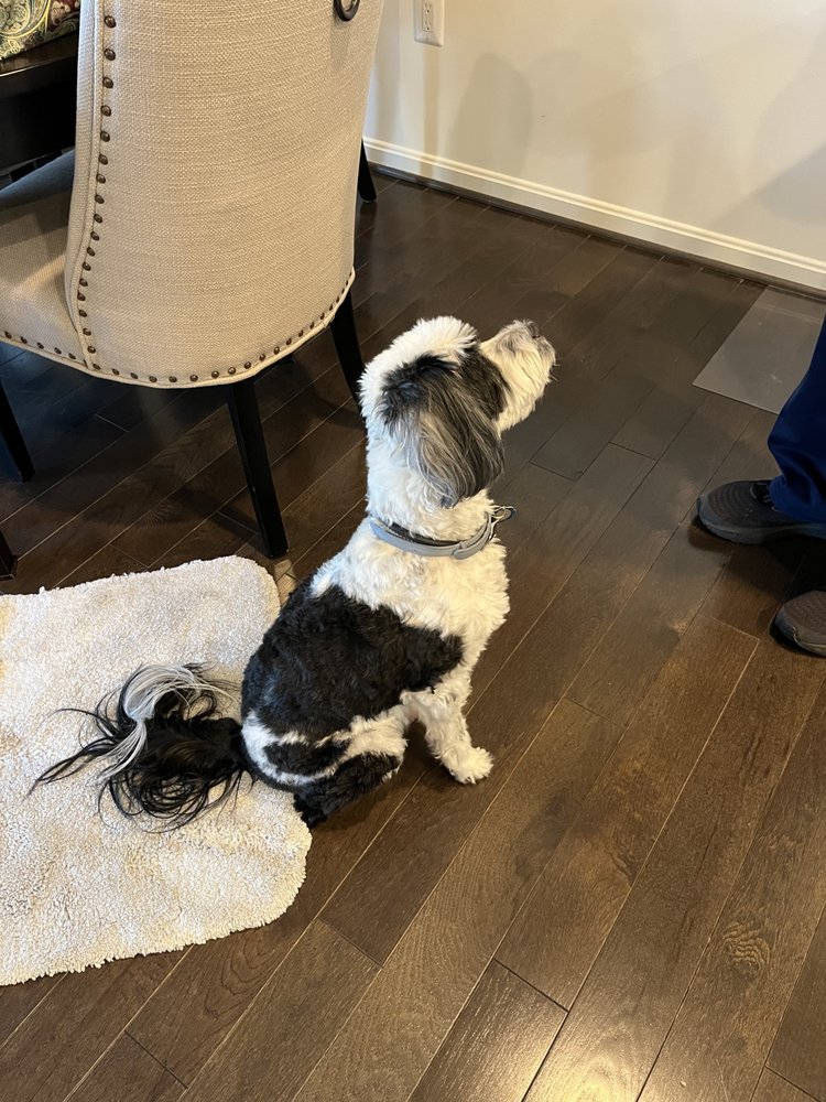 SUNCHASER KENNELS Updated September 2024 10 Photos 13416 Liberty