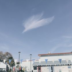 Ridgway Swim Center - Saw this cloudy bird whilst doing the backstroke