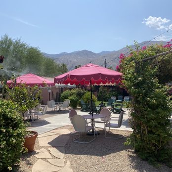 Les Cactus - View from room - Hotels Near Me - Palm Springs, California