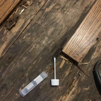 Big Apple Mold Removal - SWAB TEST TO SUBFLOOR - Damage Restoration Near Me - Brooklyn, New York