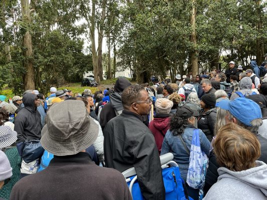 Stern Grove Festival by null