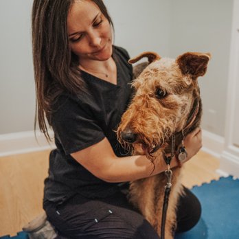 Copper Moon Veterinary Wellness - Veterinarians Near Me - Middletown, New Jersey Copper Moon Veterinary Wellness - Veterinarians Near Me - Middletown, New Jersey