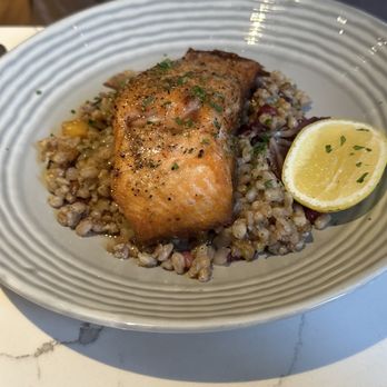 Sava's - Salmon with farrow - Bars Near Me - Ann Arbor, Michigan Sava's - Salmon with farrow - Bars Near Me - Ann Arbor, Michigan