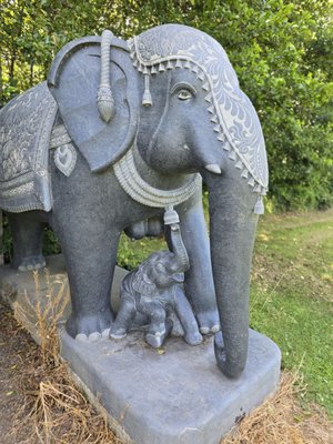 Victor's Way by null