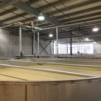 Wild Turkey - Active fermentation going on here - Distilleries Near Me - Lawrenceburg, Kentucky Wild Turkey - Active fermentation going on here - Distilleries Near Me - Lawrenceburg, Kentucky