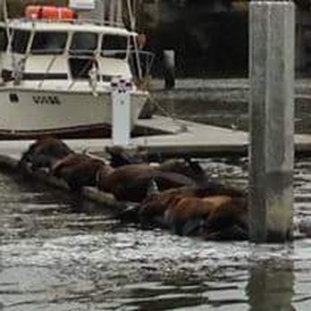 Kahuna Whale Watching - Whale Watching Tours Near Me - Moss Landing, California Kahuna Whale Watching - Whale Watching Tours Near Me - Moss Landing, California