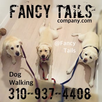 Fancy Tails - Dog Walkers Near Me - Hermosa Beach, California Fancy Tails - Dog Walkers Near Me - Hermosa Beach, California