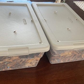 Will's Worms - (2) 6qt minibins of red wrigglers for $25! - Nurseries & Gardening Near Me - Studio City, California