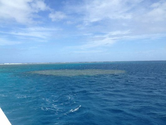 Great Barrier Reef by null