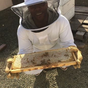 Round Rock Honey - Specialty Schools Near Me - San Francisco, California Round Rock Honey - Specialty Schools Near Me - San Francisco, California