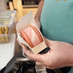 Wildberry Yogurt - Ice cream macaron