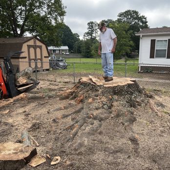 Smith's Tree Service - Tree Services Near Me Smith's Tree Service - Tree Services Near Me