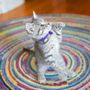 Photo of Happy Endings No Kill Cat Shelter
